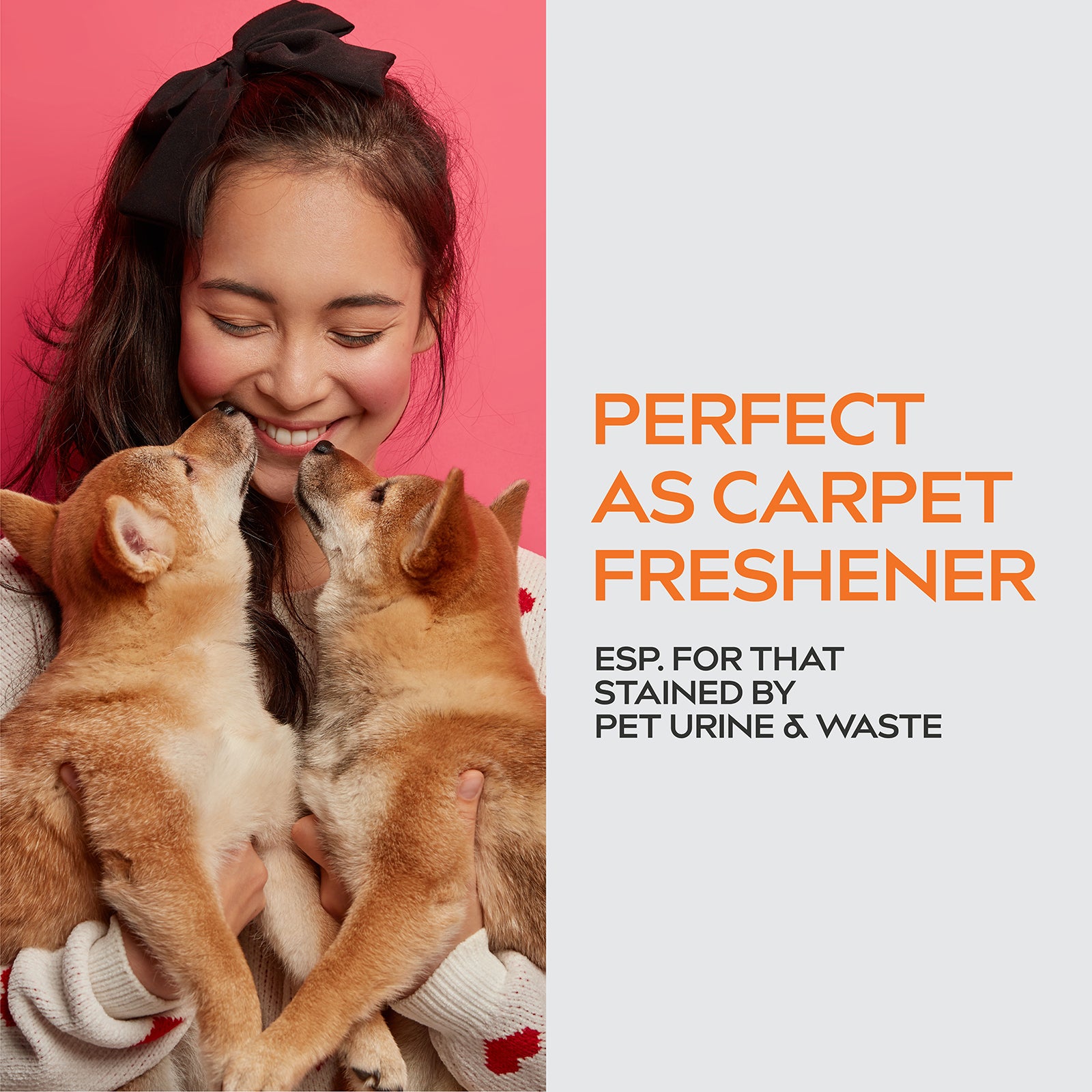 Dynamic Element Unscented Pet Odor Eliminator Spray - Deodorizer Spray for Cat Urine and Litter Box Smells - 9 Fl Oz (266 ml)