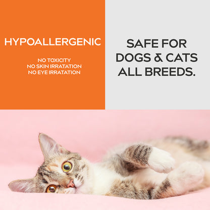 Dynamic Element Unscented Pet Odor Eliminator Spray - Deodorizer Spray for Cat Urine and Litter Box Smells - 9 Fl Oz (266 ml)